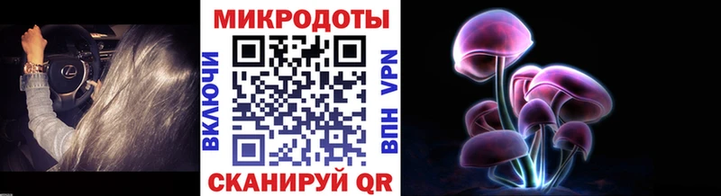 мега ССЫЛКА  магазин продажи   Кашира  Галлюциногенные грибы GOLDEN TEACHER 