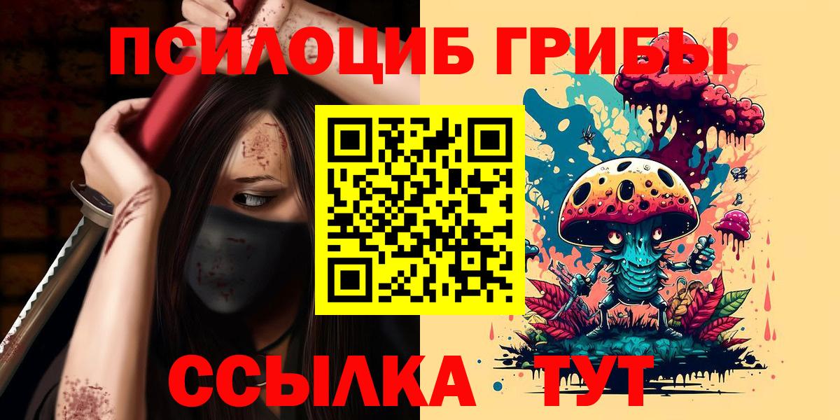 Псилоцибиновые грибы Psilocybe Кашира