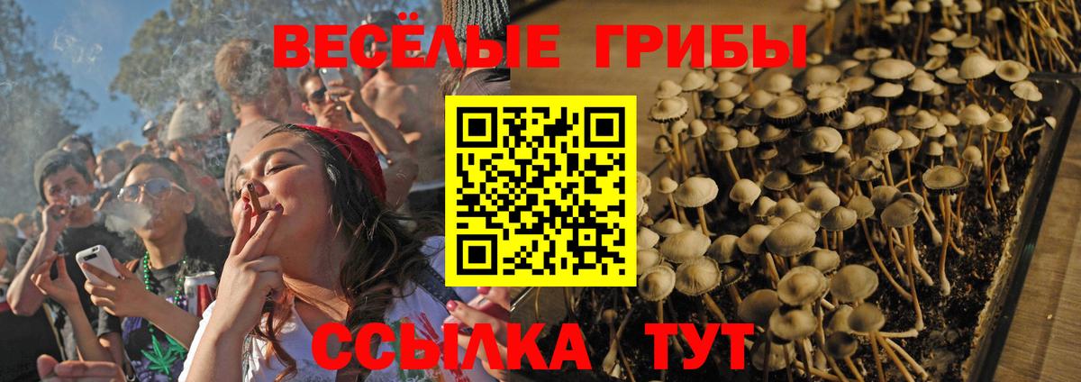 Галлюциногенные грибы MAGIC MUSHROOMS  Вход с VPN  Галлюциногенные грибы Cubensis  Кашира 